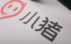 陈驰称小猪商业模式来自Airbnb，会考量回A