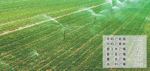 全国已播农作物1.5亿亩 占春播意向面积11.3%