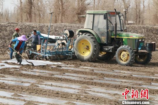 职工田间地头劳作助力春播。　蔡延斌 摄