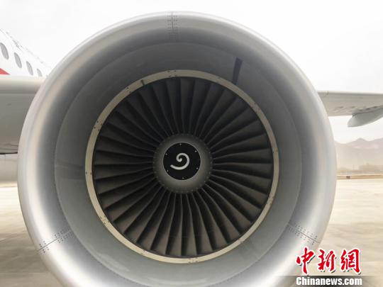 图为4月4日，西藏航空新引进的空中客车A319客机装配的CFM-56大推力发动机。　张磊 摄