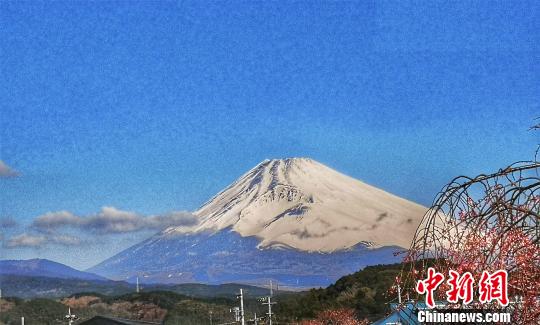 日本樱花盛放美景 杨滨 摄