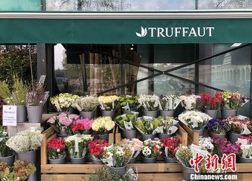 在法国大型园艺连锁市场中，特吕弗(Truffaut)园艺连锁市场历史悠久，声名远扬。4月9日，记者走访这里的大型园艺连锁市场，了解法国的园艺产业发展现况。/p中新社记者 李洋 摄