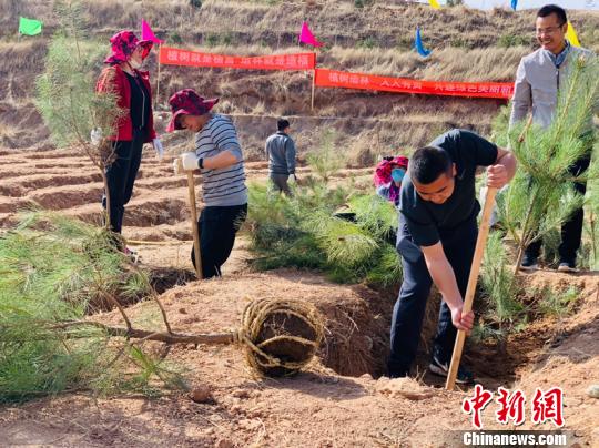 图为植树造林“大会战”现场。　孙睿 摄