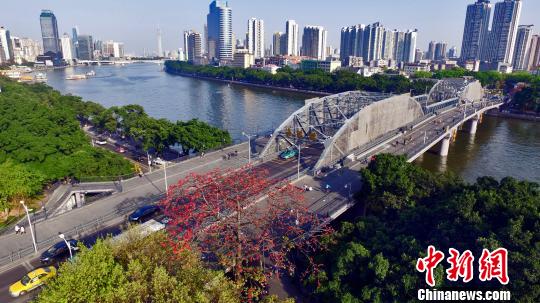 位于广州市越秀区的海珠桥 陈志强 摄