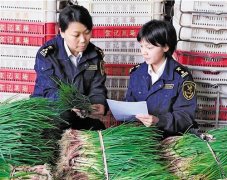 深圳海关保障供港蔬菜优质充足