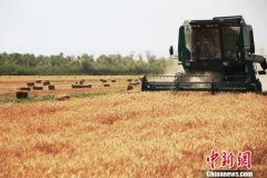 商务部：继续以符合世贸规则方式管理农产品进口关税配额