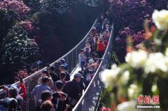 五一假期预计超1.6亿人次出游 国内这10地去的人多