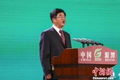第11届中国·贵州国际茶文化节暨茶产业博览会开幕