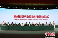 第四届国际茶叶采购商大会签约总金额达59.8亿元