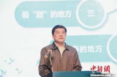 广西加快融入粤港澳大湾区建设 去年引进资金超3380亿元