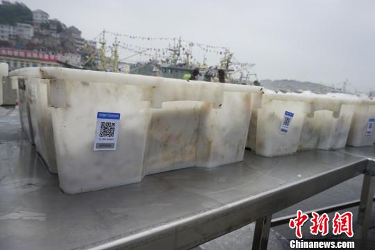 渔获上的二维码 应欣睿 摄