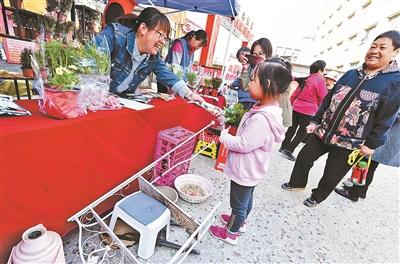 旧物换鲜花 扮靓家园迎世园