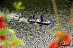 “多区叠加”政策红利 福建经济首季迎“开门红”