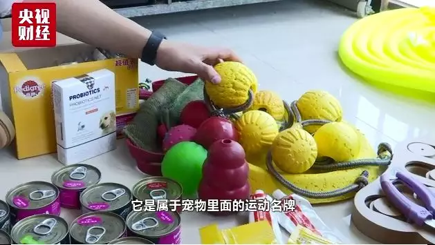 中国宠物消费市场规模达1700亿元 年轻人是主力军