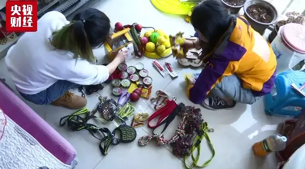 中国宠物消费市场规模达1700亿元 年轻人是主力军