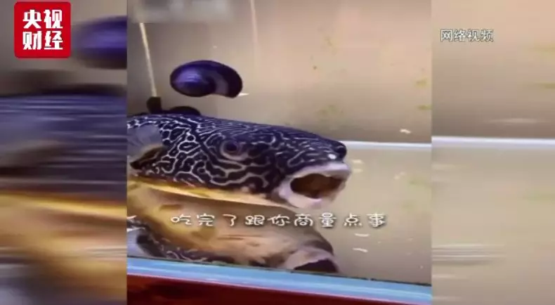 中国宠物消费市场规模达1700亿元 年轻人是主力军