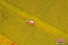 当前农业农村经济发展存在一些苗头性问题？官方回应