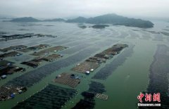 欧洲，福建吸引外资的新增长极