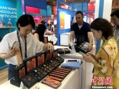 2019农业科转会暨第七届成都农博会举行