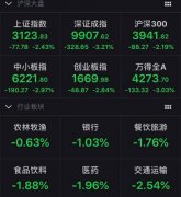 A股大跌百股跌停 深成指跌逾3%失守万点大关