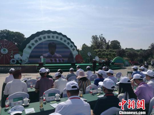 第四届江之阳蔬菜品赏会开幕式现场。 起钰婷 摄 第四届江之阳蔬菜品赏会开幕式现场。 起钰婷 摄