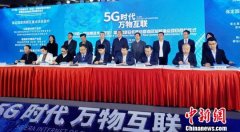 2019新一代信息技术（保定）国际创新合作峰会举行