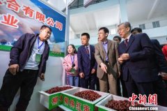 山西吕梁各地农特产品齐聚一堂 尽显乡村魅力