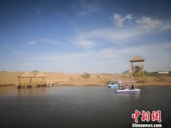 五旬老者返乡创业造林 大漠“丝路驿站”助农脱贫