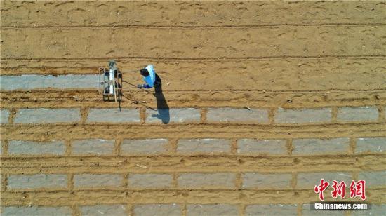 资料图：农民春耕。王超 摄