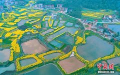 发改委：工商资本入乡要设防火墙 不能富了老板丢了老乡