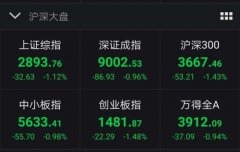 金融股走弱影响大盘 沪指8日跌1.12%失守2900点
