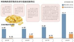 文化长城靓丽年报被审计机构打脸 所收购子公司“失