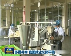 多措并举 中国就业总体平稳