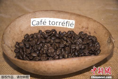 资料图：咖啡豆。