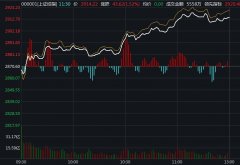 沪指涨逾1%收复2900点 稀土永磁板块领涨延续强势