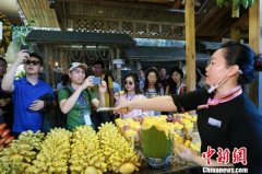 海南黎苗少数民族地区旅游扶贫“摘穷帽” 乡村振兴显成效