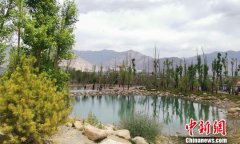 金融业践行绿色发展理念 助推美丽西藏建设