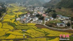 <b>农业农村部：2011年以来农村改革试验区有144项试验成果</b>