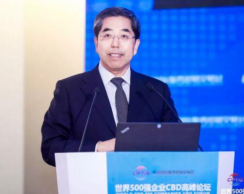 国务院发展研究中心党组书记马建堂在世界500强企业CBD高峰论坛发布主旨演讲。