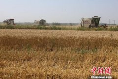 安徽200亿元“钱等粮” 夏粮收购禁“白条”