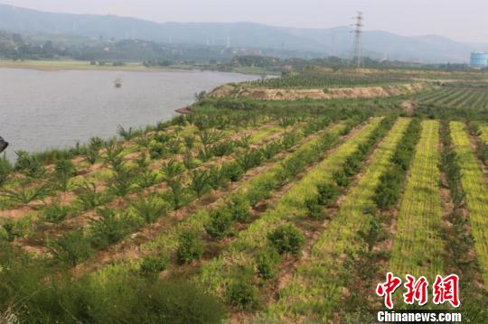 大寨镇郭庄等两村造地项目。　王志灏 摄