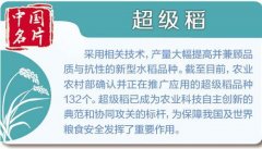 超级稻造福人类：截至2018年底全国累计推广应用14.8亿亩