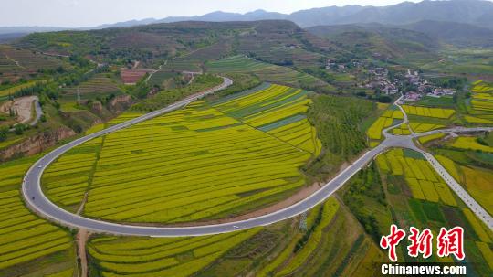 宁夏“最美公路”隆张路。　于晶 摄