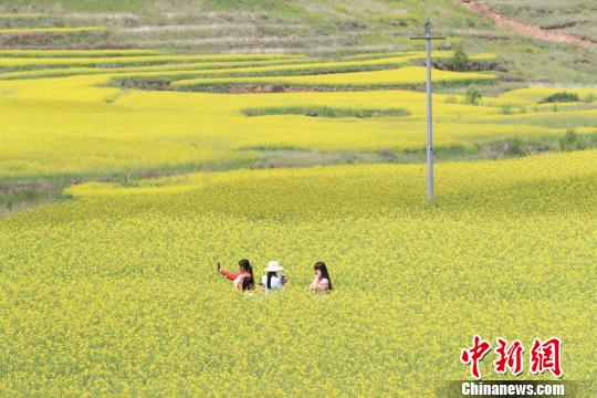 游客在油菜花海中合影留念。　于晶 摄