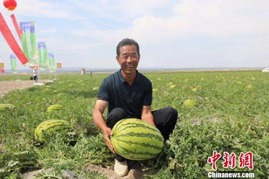 瓜农抱着即将成熟的硒砂瓜，脸上露出丰收的笑容。　杨迪 摄