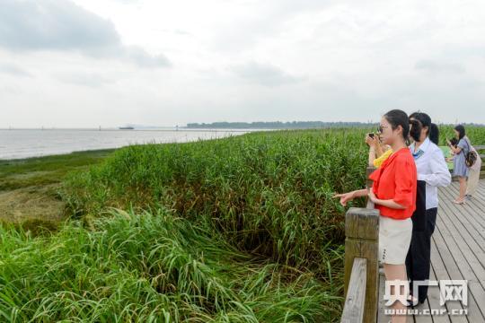 “钢铁之城”上海宝山转型记：昔日“黑重”的沿江 变得“诗情画意”