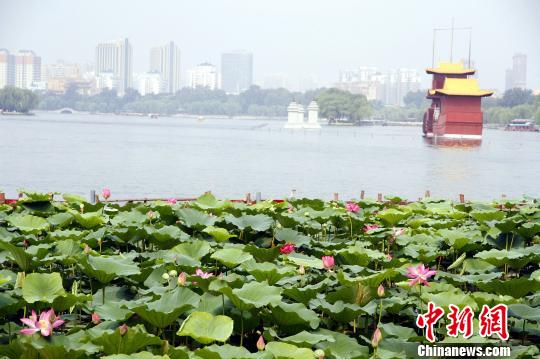 夜猫子福利！各地“不夜城”大比拼，你最中意哪个城市